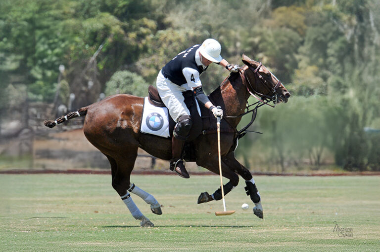 Magdalena Images, Denver senior photographer, Denver portrait photographer, Denver photo studio, Lakewood photo studio, Colorado senior photographer, Littleton senior photographer, Golden Senior Photographer, Arvada senior photographer