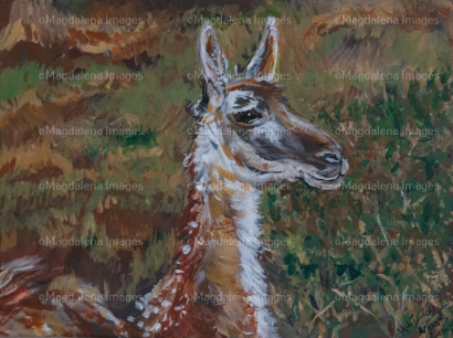 Magdalena Images Artwork, Denver artwork, Colorado artist, Colorado artwork, Chile artwork, artista chilena, pintura chilena, Chilean artist, Denver art, Denver oil paintings, Colorado artwork, Colorado paintings, Magdalena Arbat Pennington